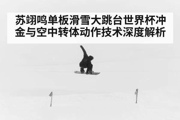 苏翊鸣单板滑雪大跳台世界杯冲金与空中转体动作技术深度解析